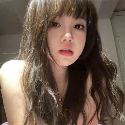 假元首秘纪